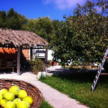Casas El Camino *